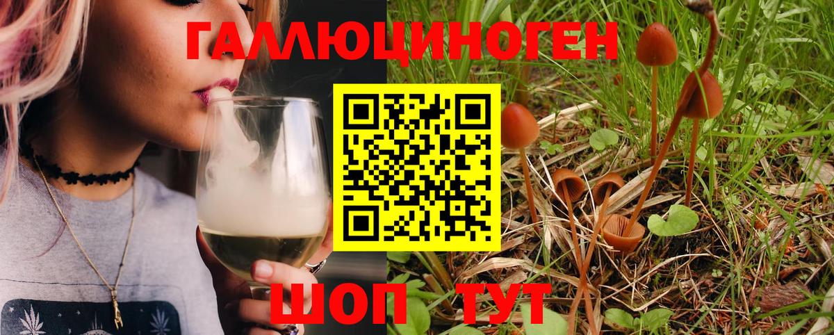 Галлюциногенные грибы MAGIC MUSHROOMS  Псилоцибиновые грибы Cubensis  Гай  Вход с VPN 