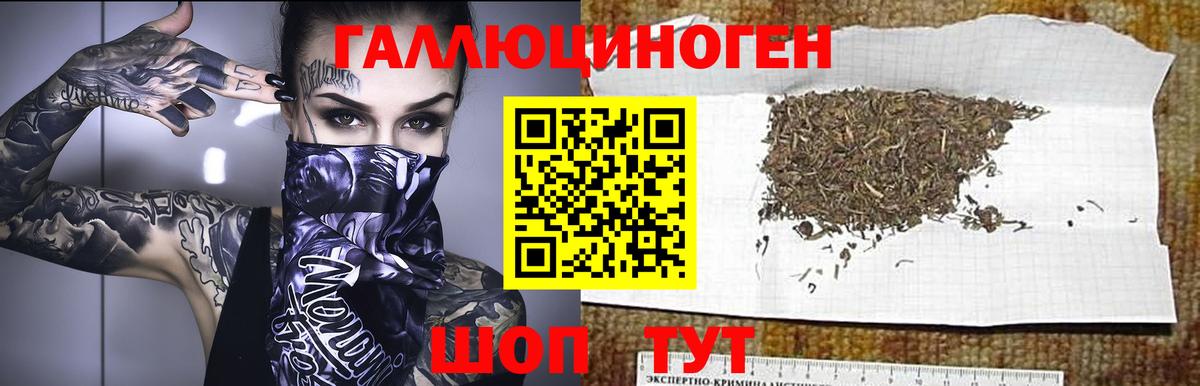 Галлюциногенные грибы мицелий Гай