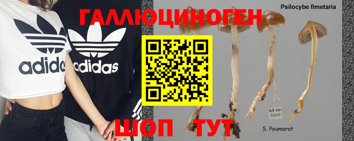  КОКАИН Гай