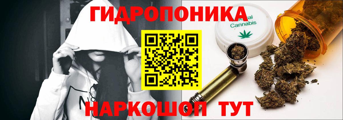 Шишки марихуана семена Гай